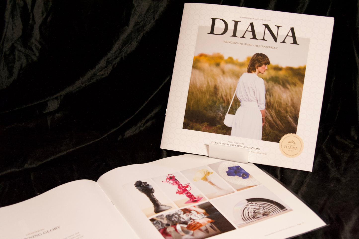 Princess Diana Accredited Access Souvenir Guidebook